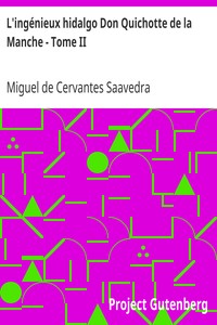L'ingénieux hidalgo Don Quichotte de la Manche - Tome II