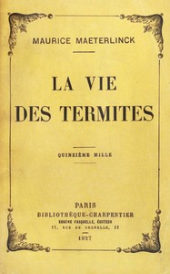 La vie des termites