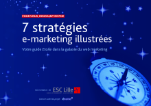 couverteur 7 strategies e-marketing illustrees