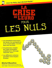 couverteur La Crise De L’euro Pour Les Nuls