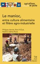 couverteur Le manioc, entre culture alimentaire et filière agro-industrielle